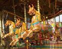 Line of three horses